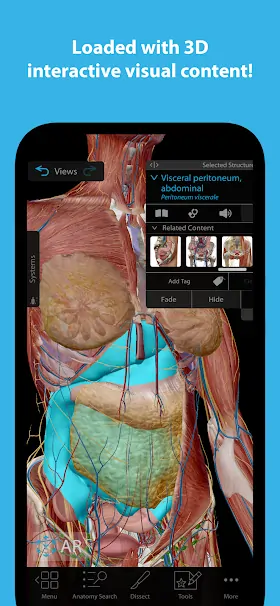 Human Anatomy Atlas 2025